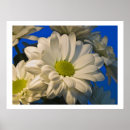 Zoek naar asters posters Tuin