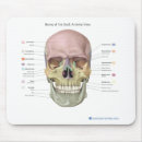 Zoek naar spier muismatten Anatomie