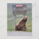 Recherche de carnivores cartes postales Animal
