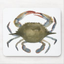 Recherche de crabes tapis souris Mollusques et crustacés