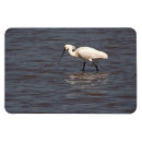 Recherche de miro magnete Reflection