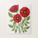 Recherche de pavots puzzles Été