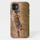 Recherche de foyer coques Aucunes personnes