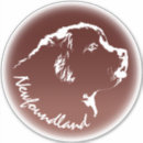 Recherche de terre neuve voiture autocollants Dog