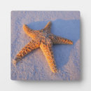Recherche de directeur plaques Sable
