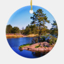Recherche de suédois ornements Scandinave
