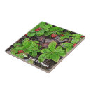 Recherche de framboise carreaux Vert