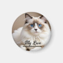 Recherche de écran magnets Pour eux