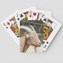 Recherche de chèvres jeux de cartes Mignon