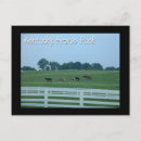 Recherche de équestres cartes postales Chevaux