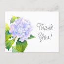 Recherche de fleurs lavande cartes postales Vert