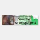 Recherche de animals voiture autocollants Conservation