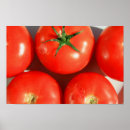 Recherche de tomatoe art Tomates