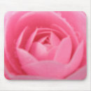 Recherche de camelia tapis souris Camellie