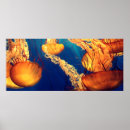 Zoek naar marien dier posters Zee