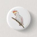 Zoek naar vogel tekening buttons Grappig