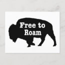 Recherche de ouest américain cartes postales Bison