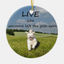 Zoek naar leef ornamenten Hond