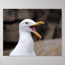 Zoek naar grappige dierentuin posters Wilde dieren