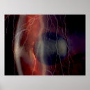 Recherche de ophtalmologue posters Optométriste
