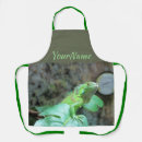 Recherche de iguane vert Green