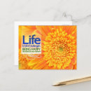 Recherche de citations inspirées cartes postales Inspiration