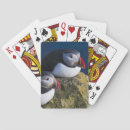 Recherche de falaise jeux de cartes Atlantique