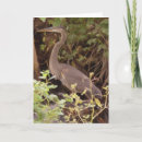 Recherche de ornithologie vœux cartes Nature