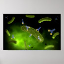 Recherche de pathologie art Pathogène