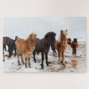 Recherche de iceland puzzles Snow