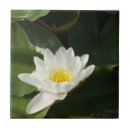 Zoek naar lotus tegels Natuur