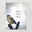 Recherche de petit oiseau cartes postales Floral