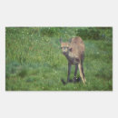 Recherche de animal face autocollants Faune