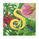 Recherche de grenouilles carreaux Botanique