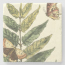 Zoek naar insecten onderzetters Vlinders