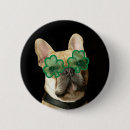 Recherche de bouledogue francais badges Chien