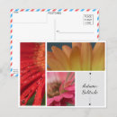 Recherche de solitude cartes postales Automne