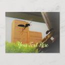 Recherche de papier cartes postales Pour lui