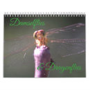 Recherche de damselflies Insectes