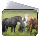 Zoek naar paarden laptop sleeves Boerderij