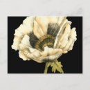 Recherche de arrière plan noir cartes postales Décoratif