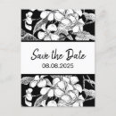 Zoek naar frangipani briefkaarten Tuin