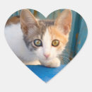 Recherche de chat curieux autocollants Mignon