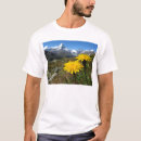 Recherche de valais tshirts Suisse