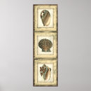 Recherche de marine creatures posters Océan