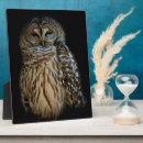 Recherche de plume de hibou Brun