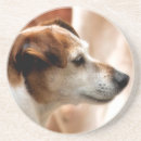 Zoek naar terriers onderzetters Terriërs