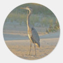 Zoek naar reiger stickers Kruid