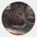 Recherche de chat sauvage autocollants Afrique