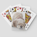 Recherche de sommeil jeux de cartes Animal